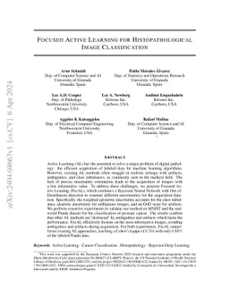 Focused Active Learning for Histopathological Image Classification