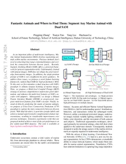 Fantastic Animals and Where to Find Them: Segment Any Marine Animal with
  Dual SAM