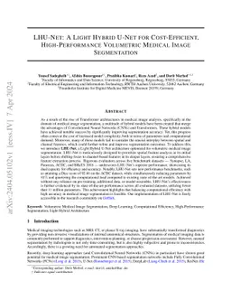 LHU-Net: a Lean Hybrid U-Net for Cost-efficient, High-performance Volumetric Segmentation