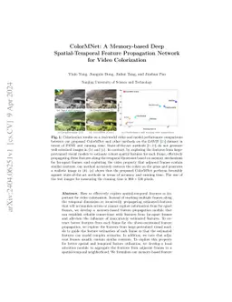 ColorMNet: A Memory-based Deep Spatial-Temporal Feature Propagation
  Network for Video Colorization