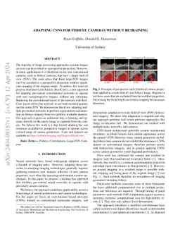 Adapting CNNs for Fisheye Cameras without Retraining