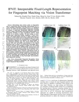 IFViT: Interpretable Fixed-Length Representation for Fingerprint
  Matching via Vision Transformer