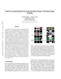 Label-free Anomaly Detection in Aerial Agricultural Images with Masked
  Image Modeling