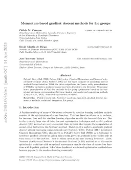 Momentum-based gradient descent methods for Lie groups
