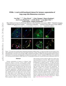 FISBe: A real-world benchmark dataset for instance segmentation of
  long-range thin filamentous structures