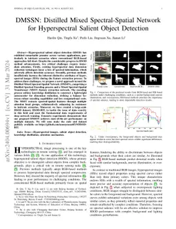 DMSSN: Distilled Mixed Spectral-Spatial Network for Hyperspectral
  Salient Object Detection
