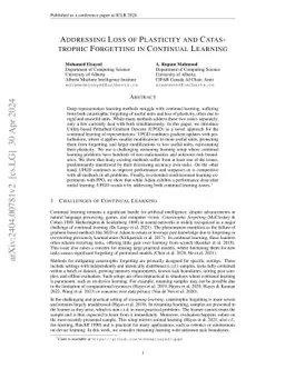 Addressing Loss of Plasticity and Catastrophic Forgetting in Continual
  Learning