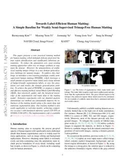 Towards Label-Efficient Human Matting: A Simple Baseline for Weakly
  Semi-Supervised Trimap-Free Human Matting