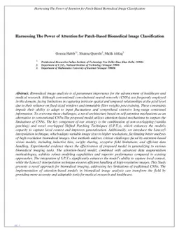Harnessing The Power of Attention For Patch-Based Biomedical Image
  Classification