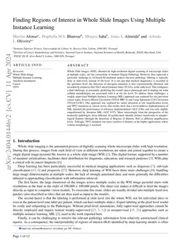Finding Regions of Interest in Whole Slide Images Using Multiple
  Instance Learning