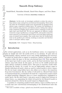 Smooth Deep Saliency