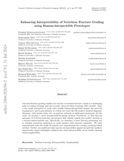 Enhancing Interpretability of Vertebrae Fracture Grading using
  Human-interpretable Prototypes