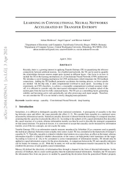 Learning in Convolutional Neural Networks Accelerated by Transfer
  Entropy