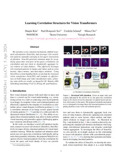 Learning Correlation Structures for Vision Transformers