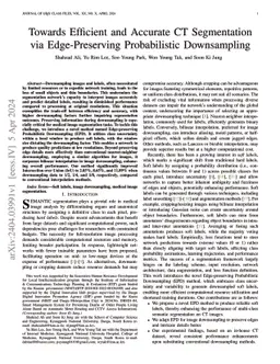 Towards Efficient and Accurate CT Segmentation via Edge-Preserving
  Probabilistic Downsampling