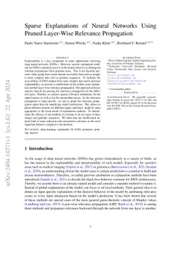 Sparse Explanations of Neural Networks Using Pruned Layer-Wise Relevance Propagation