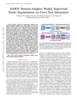 DAWN: Domain-Adaptive Weakly Supervised Nuclei Segmentation via Cross-Task Interactions