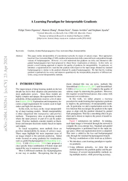 A Learning Paradigm for Interpretable Gradients