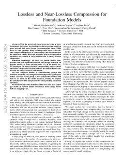 Lossless and Near-Lossless Compression for Foundation Models