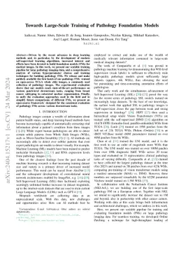 Towards Large-Scale Training of Pathology Foundation Models