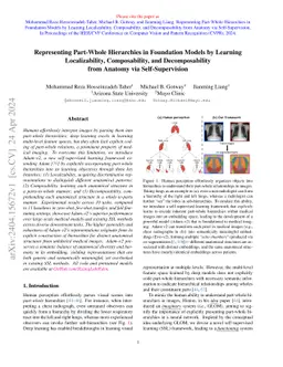 Representing Part-Whole Hierarchies in Foundation Models by Learning
  Localizability, Composability, and Decomposability from Anatomy via
  Self-Supervision