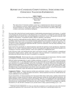 Report on Candidate Computational Indicators for Conscious Valenced
  Experience