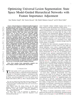 Optimizing Universal Lesion Segmentation: State Space Model-Guided
  Hierarchical Networks with Feature Importance Adjustment