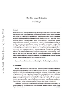 One-Shot Image Restoration