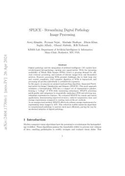 SPLICE -- Streamlining Digital Pathology Image Processing