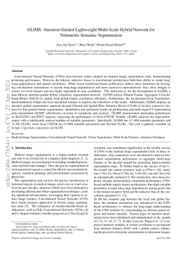 GLIMS: Attention-Guided Lightweight Multi-Scale Hybrid Network for
  Volumetric Semantic Segmentation