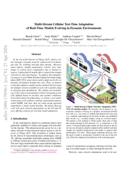 Multi-Stream Cellular Test-Time Adaptation of Real-Time Models Evolving
  in Dynamic Environments