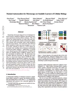 Masked Autoencoders for Microscopy are Scalable Learners of Cellular
  Biology