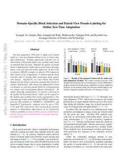 Domain-Specific Block Selection and Paired-View Pseudo-Labeling for
  Online Test-Time Adaptation