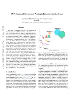 SNP: Structured Neuron-level Pruning to Preserve Attention Scores