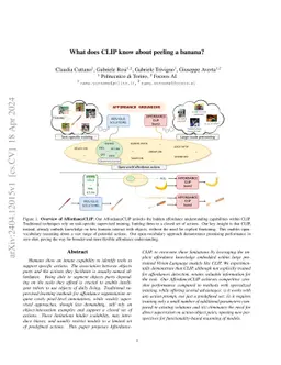 What does CLIP know about peeling a banana?