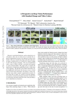 A Perspective on Deep Vision Performance with Standard Image and Video
  Codecs