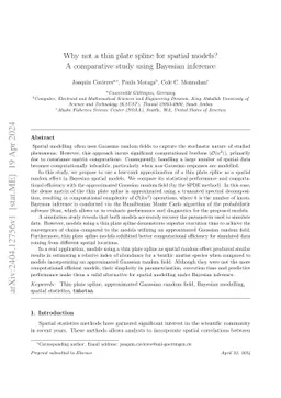 Why not a thin plate spline for spatial models? A comparative study
  using Bayesian inference