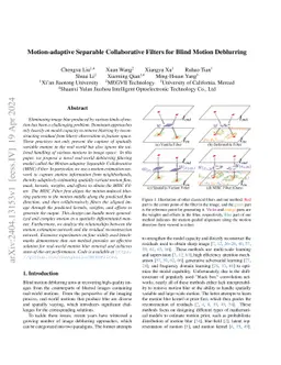 Motion-adaptive Separable Collaborative Filters for Blind Motion
  Deblurring