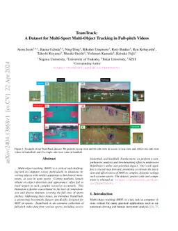 TeamTrack: A Dataset for Multi-Sport Multi-Object Tracking in Full-pitch
  Videos