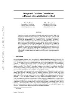 Integrated Gradient Correlation: a Dataset-wise Attribution Method