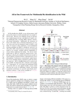 All in One Framework for Multimodal Re-identification in the Wild