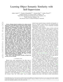 Learning Object Semantic Similarity with Self-Supervision