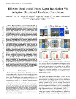 Efficient Real-world Image Super-Resolution Via Adaptive Directional
  Gradient Convolution