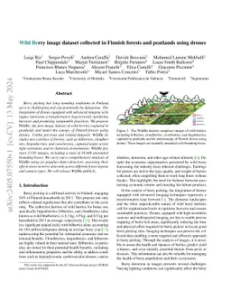 Wild Berry image dataset collected in Finnish forests and peatlands using drones