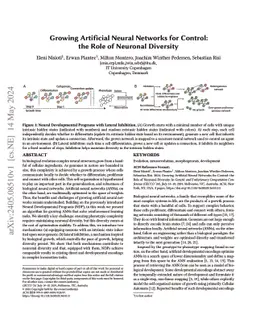 Growing Artificial Neural Networks for Control: the Role of Neuronal
  Diversity