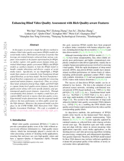 Enhancing Blind Video Quality Assessment with Rich Quality-aware Features