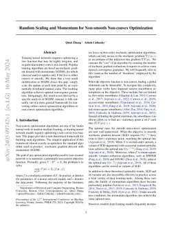 Random Scaling and Momentum for Non-smooth Non-convex Optimization