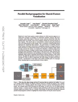 Parallel Backpropagation for Shared-Feature Visualization