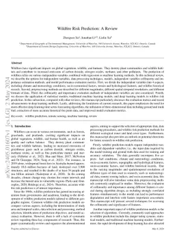 Deep Learning for Wildfire Risk Prediction: Integrating Remote Sensing and Environmental Data