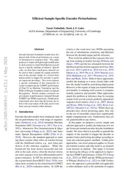 Efficient Sample-Specific Encoder Perturbations